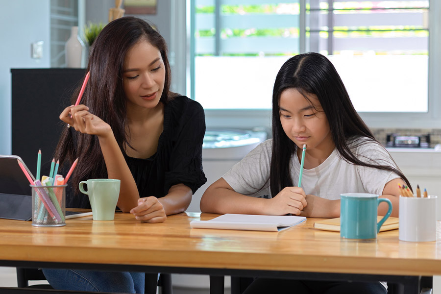 student and tutor together at a desk in Dublin